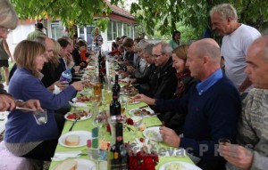 "Bačina Vino" ima ambiciozne planove za razvoj vinskog turizma