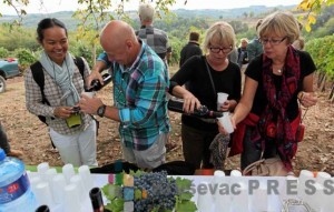 Gosti u vinogradu