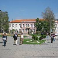 U Trsteniku se poslednjih pet godina broj žrtava porodičnog nasilja konstantno povećava FOTO: CINK - S.Milenković