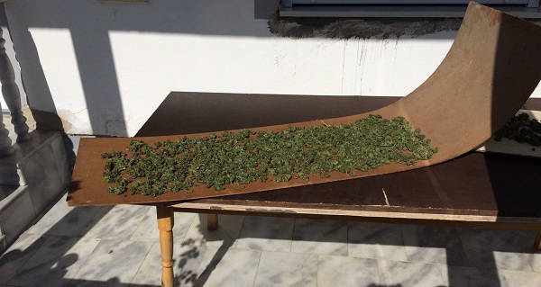 HAPŠENJE U VARVARINU: U “mercedesu” pronađeno 420 grama marihuane