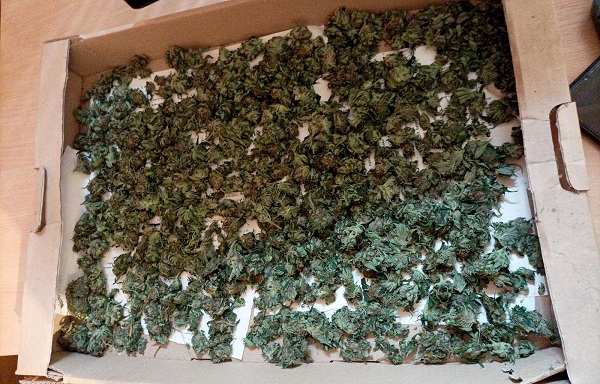 UHAPŠENA DVOJICA KRUŠEVLJANA: Zaplenjeno 1,8 kilograma marihuane