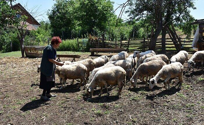 ŽENE U ALEKSINAČKIM SELIMA: Raste broj udruženja, predstoji borba za ostvarivanje prava