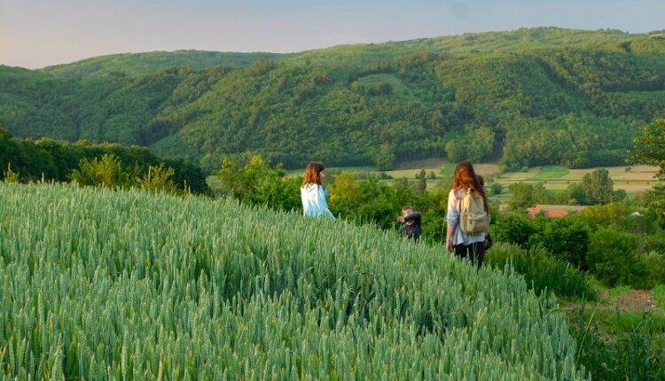 Župa sluša cvrkut, ali ga ne čuju svi: Pesticidi, paljenje vrzina i krivolov ugrožavaju ptice